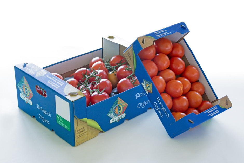 Prix du développement durable pour un carton compact à base de plants de tomates